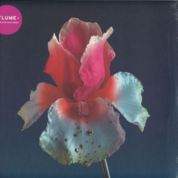 Flume Tiny Cities Feat Beck Lindstrom  Prins Thomas Remix  Take A Chance Feat Little Dragon Kolsch Remix Vinyl 12"