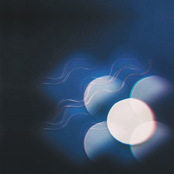 Mutual Benefit Thunder Follows The Light Vinyl LP