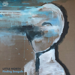 Little North Finding Seagulls Vinyl LP