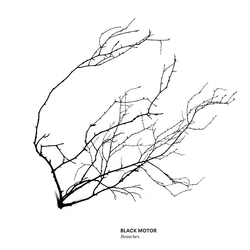 Black Motor Branches Vinyl LP