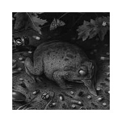 Tusmorke Fort Bak Lyset VINYL LP