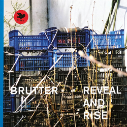 Brutter Reveal And Rise VINYL LP