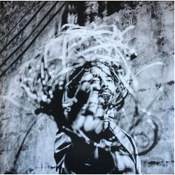 Harish Raghavan Calls For Action Vinyl LP