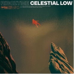 Ribozyme Celestial Low ORANGE BLACK MARBLED VINYL LP