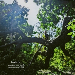 Bladverk Monumental Thrill. Monumental Chill VINYL LP