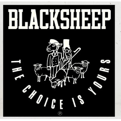 Black Sheep The Choice Is Yours Vinyl 7"