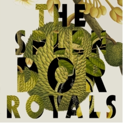 Splendor Royals VINYL LP