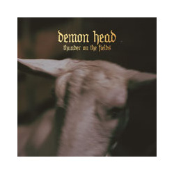 Demon Head Thunder On The Fields Vinyl LP
