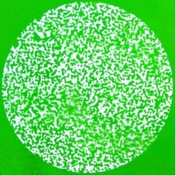 Low-Res Happiness VINYL LP