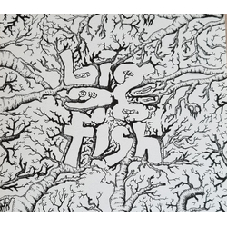 Big Fish Kalla Doda Drommar VINYL LP + CD