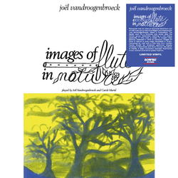 Joel Vandroogenbroeck Images Of Flute In Nature VINYL LP