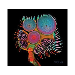 Echolot Volva Vinyl LP