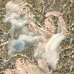 Dolphin Midwives Body Of Water Vinyl LP