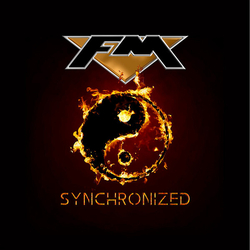 Fm Synchronized Vinyl LP