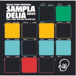Various Artists Sampladelia 2021 VINYL LP