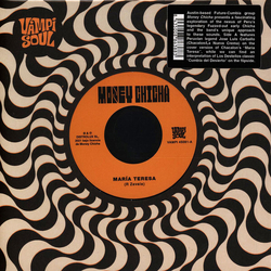 Money Chicha Maria Teresa Vinyl 7"