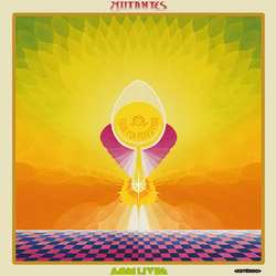 Os Mutantes Tudo Foi Feito Pelo Sol Vinyl LP