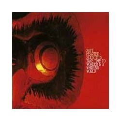 Soft Hearted Scientists Take Time To Wonder In A Whirling World Vinyl LP + CD