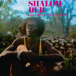 King Tubby Shalom Dub Vinyl LP