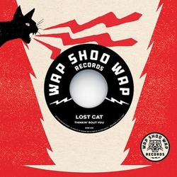 Lost Cat / Black Mambas Thinkin Bout You / Love Danger VINYL 7INCH