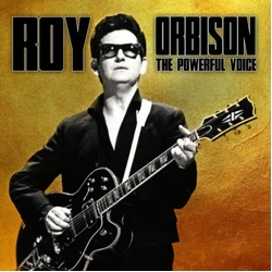 Roy Orbison The Powerful Voice VINYL LP
