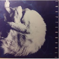 Chapterhouse Whirlpool Vinyl LP
