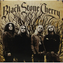 Black Stone Cherry Black Stone Cherry Vinyl LP