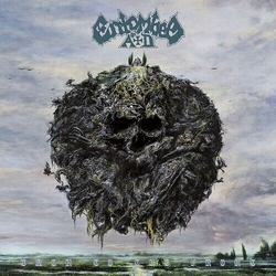 Entombed A.D. Back To The Front VINYL LP
