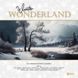 Various Artists Winter Wonderland - 14 Christmastime Classics WHITE VINYL LP