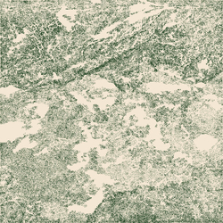 Various Artists Midday Moon: Ambient And Experimental Artists From Australia And New Zealand 1980 - 1995 Vinyl LP