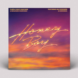 Purple Disco Machine / Benjamin Ingrosso Honey Boy FEAT. NILE RODGERS & SHENSEEA VINYL 12INCH