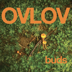 Ovlov Buds ORANGE VINYL LP