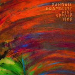 Randall Bramblett Pine Needle Fire BLACK VINYL LP