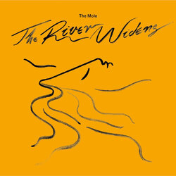 The Mole The River Widens VINYL 2LP