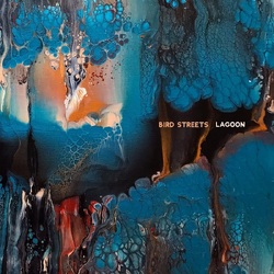 Bird Streets Lagoon VINYL 2LP