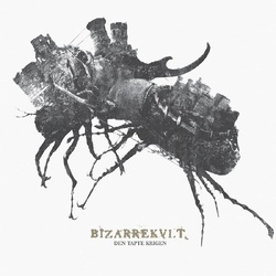 Bizarrekult Den Tapte Krigen VINYL LP