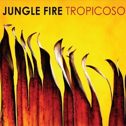 Jungle Fire Tropicoso VINYL LP