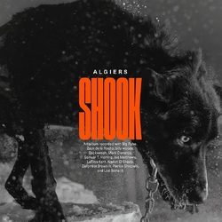 Algiers Shook VINYL LP