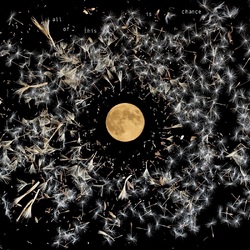Lisa O'Neill All Of This Is Chance BLACK VINYL LP