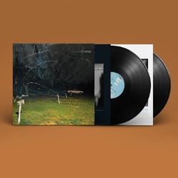 Yo La Tengo This Stupid World BLACK VINYL 2 LP