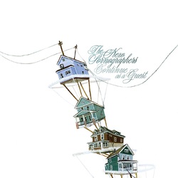 The New Pornographers Continue As A Guest (Coloured Vinyl) VINYL LP