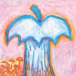 "Deerhoof Apple O' (20th Anniversary Edition) VINYL LP +7