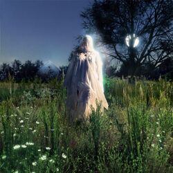 Noah Cyrus The Hardest Part VINYL LP