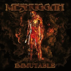 Meshuggah Immutable RED-TRANS WHITE & BLACK MARBLED VINYL 2LP