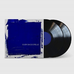 Head & The Heart Every Shade Of BLUE VINYL LP