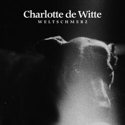 Charlotte De Witte Weltschmerz VINYL LP