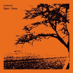 Losoul Open Door (Expanded 2X12) VINYL LP
