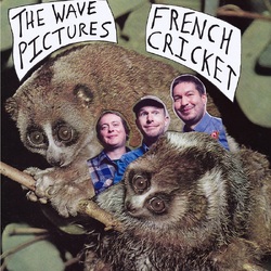 The Wave Pictures French Cricket VINYL LP