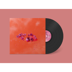 Ami Dang The Living World'S Demands VINYL LP