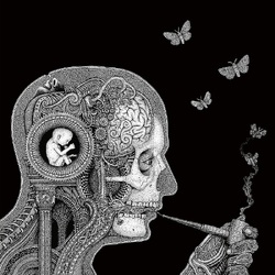 Soen Cognitive VINYL LP
